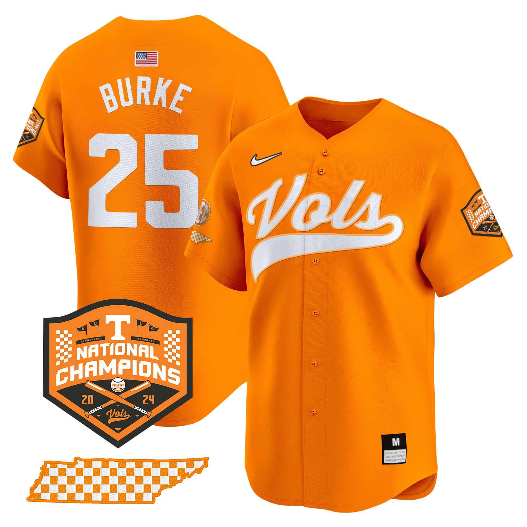 Men Tennessee Volunteers #25 Burke Orange 2024 Nike Champions Vapor Premier Limited NCAA Jersey->indianapolis colts->NFL Jersey